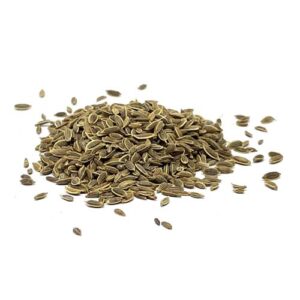 Dill Seeds