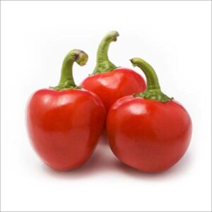 Short or Bulb Shape Chilli